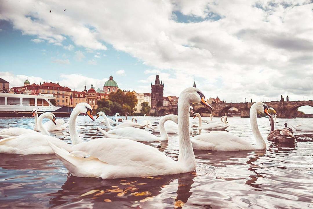 Quiet Apartment With Balcony Charles Bridge Praga Exterior foto